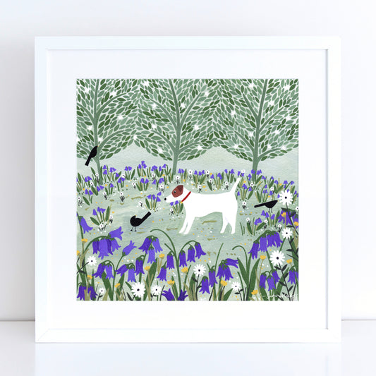 Jack Russell Among Bluebells Art Print