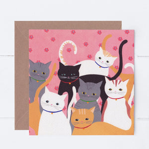 Hello Cats Greeting Card