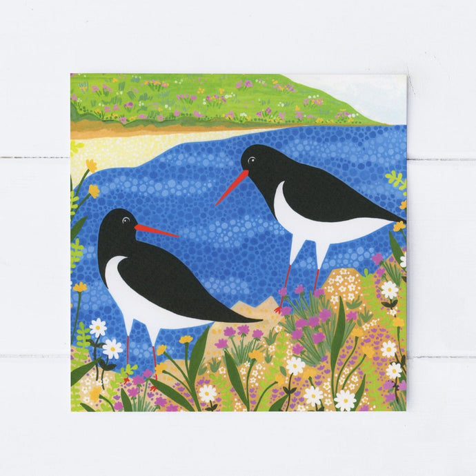 Wholesale - SS119 Coastal Sea Birds 150x150mm, Pack of 6 Greeting Cards