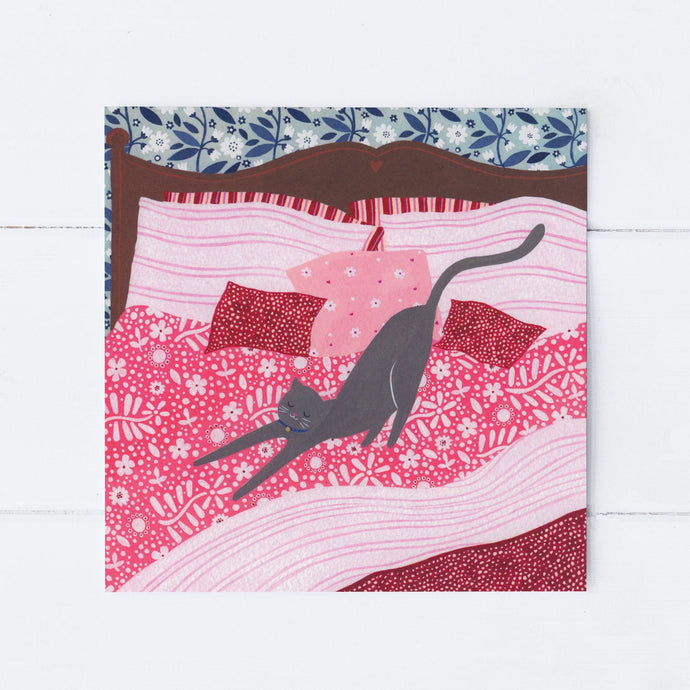 Wholesale - SS061 Cosy Cat 150x150mm, Pack of 6 Greeting Cards