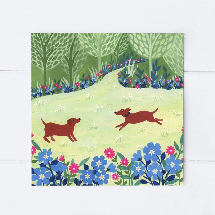 Wholesale - SS120 Dashing Dachshunds 150x150mm, Pack of 6 Greeting Cards