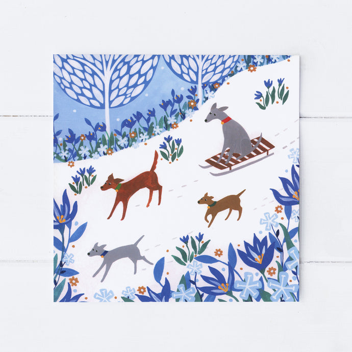 Wholesale - SS184 Dog On Sledge 150x150mm, Pack of 6 Greeting Cards