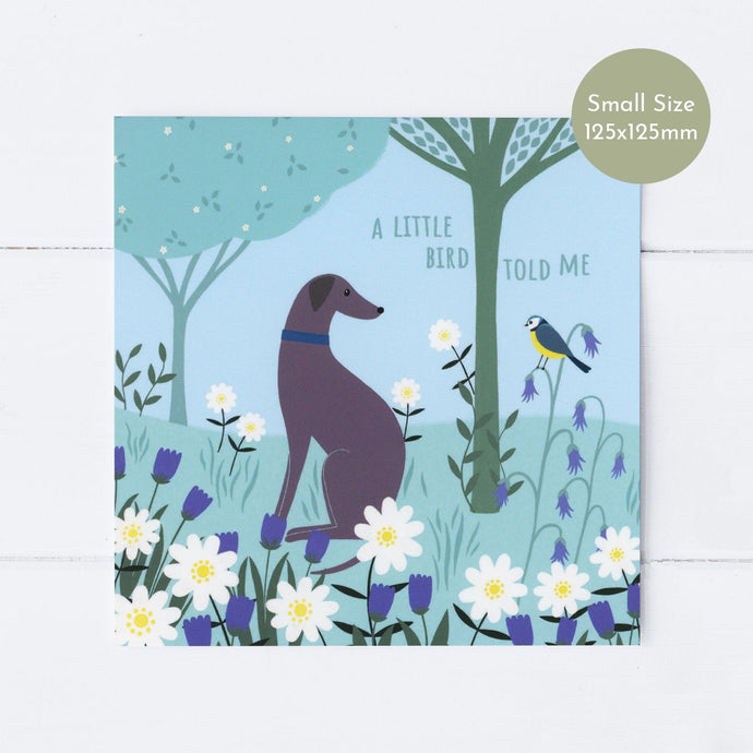 Wholesale - SS157 Greyhound Meadow 125x125mm, Pack of 6 Greeting Cards