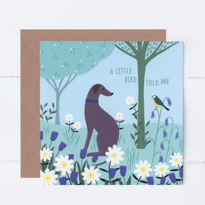 Greyhound Meadow Greeting Card