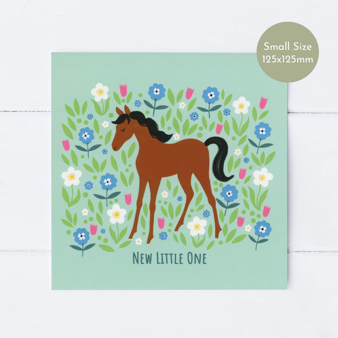 Wholesale - SS164 New Little Foal 125x125mm, Pack of 6 Greeting Cards
