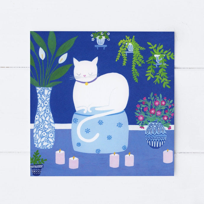 Wholesale - SS123 Serene Cat 150x150mm, Pack of 6 Greeting Cards