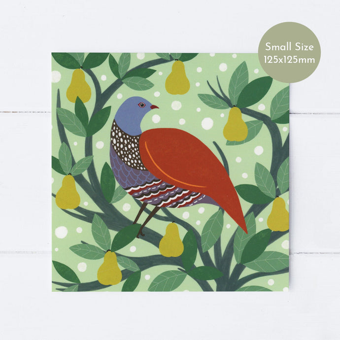 Wholesale - SS182 Snow Partridge 125x125mm, Pack of 6 Greeting Cards