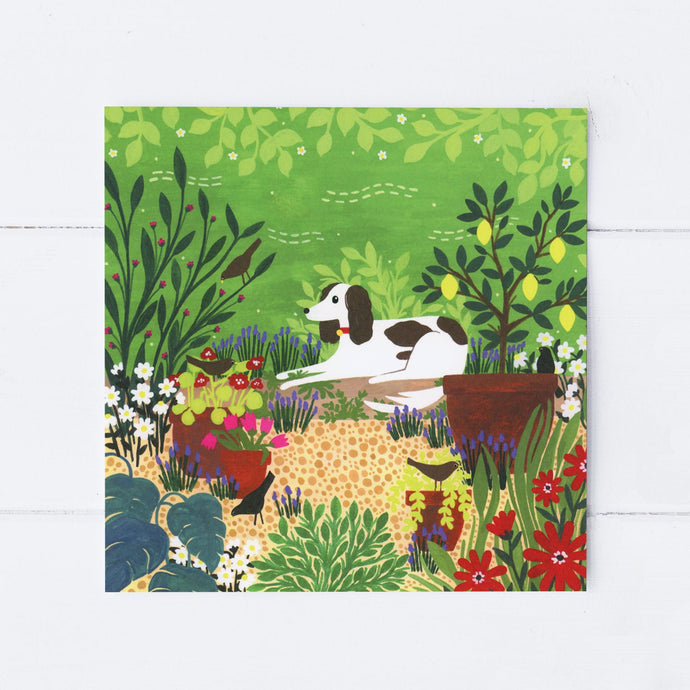 Wholesale - SS139 Spaniel Patio 150x150mm, Pack of 6 Greeting Cards