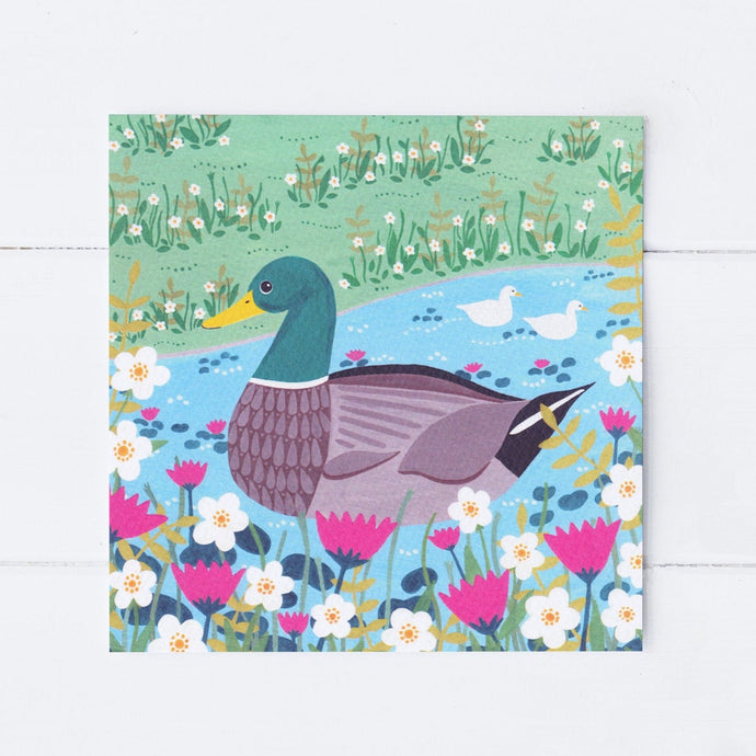 Wholesale - SS062 Duck Pond 150x150mm, Pack of 6 Greeting Cards