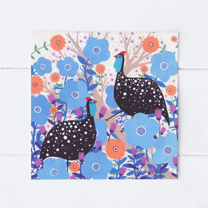 Wholesale - SS063 Guinea Meet 150x150mm, Pack of 6 Greeting Cards