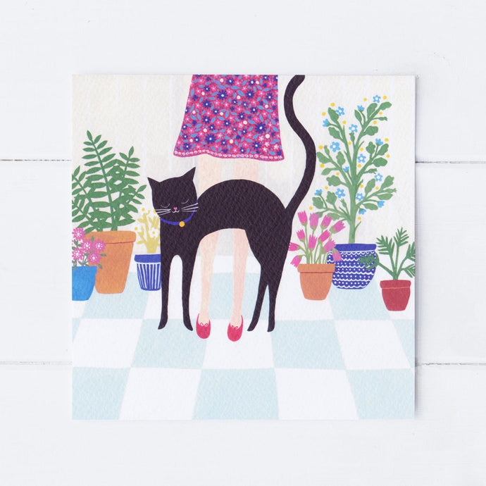 Wholesale - SS052 Hungry Cat 150x150mm, Pack of 6 Greeting Cards