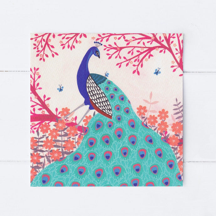 Wholesale - SS018 Peacock 150x150mm, Pack of 6 Greeting Cards