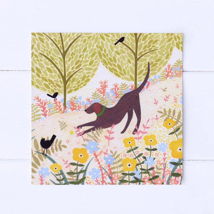 Wholesale - SS040 Summer Labrador 150x150mm, Pack of 6 Greeting Cards