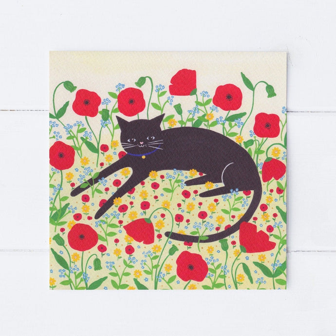 Wholesale - SS046 Cat With Poppies 150x150mm, Pack of 6 Greeting Cards
