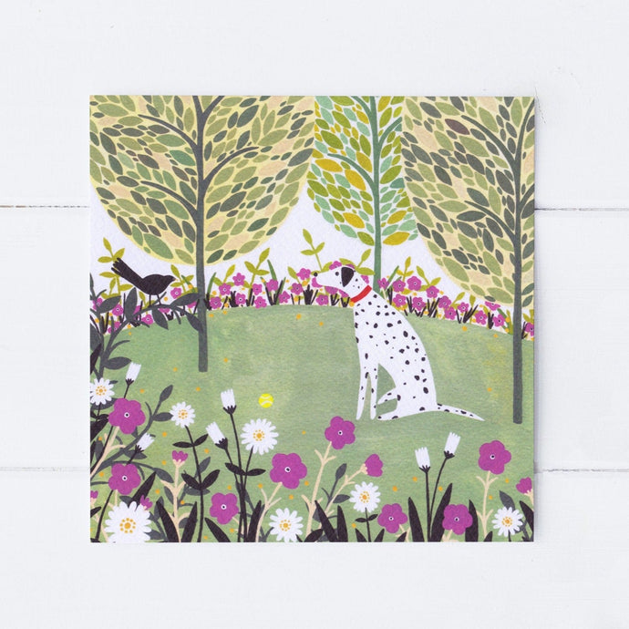 Wholesale - SS049 Dalmatian And Ball 150x150mm, Pack of 6 Greeting Cards