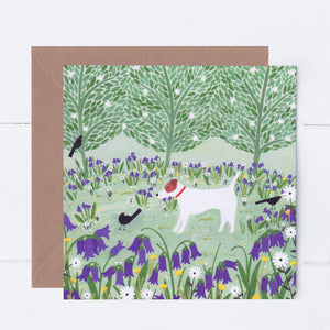 Jack Russell Among Bluebells Greeting Card