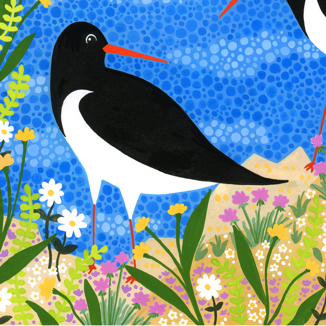 Coastal Sea Birds Art Print