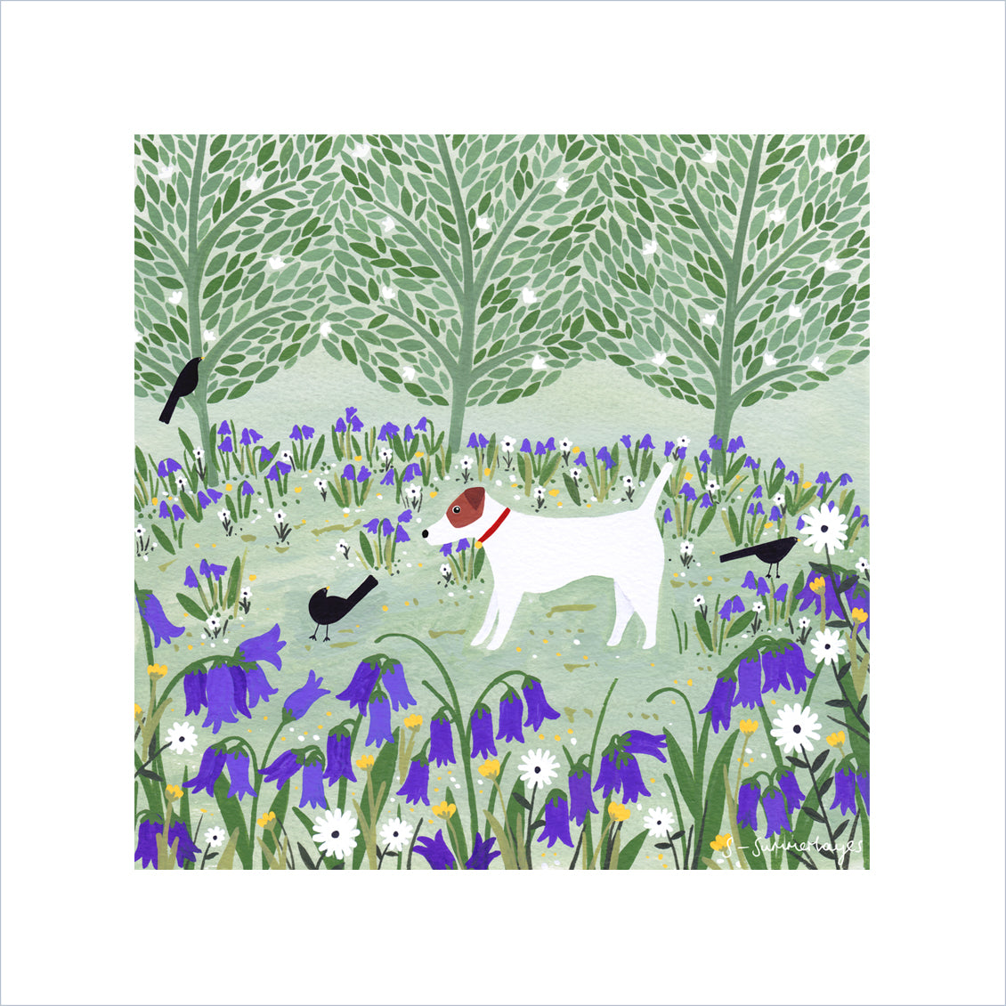 Jack Russell Among Bluebells Art Print