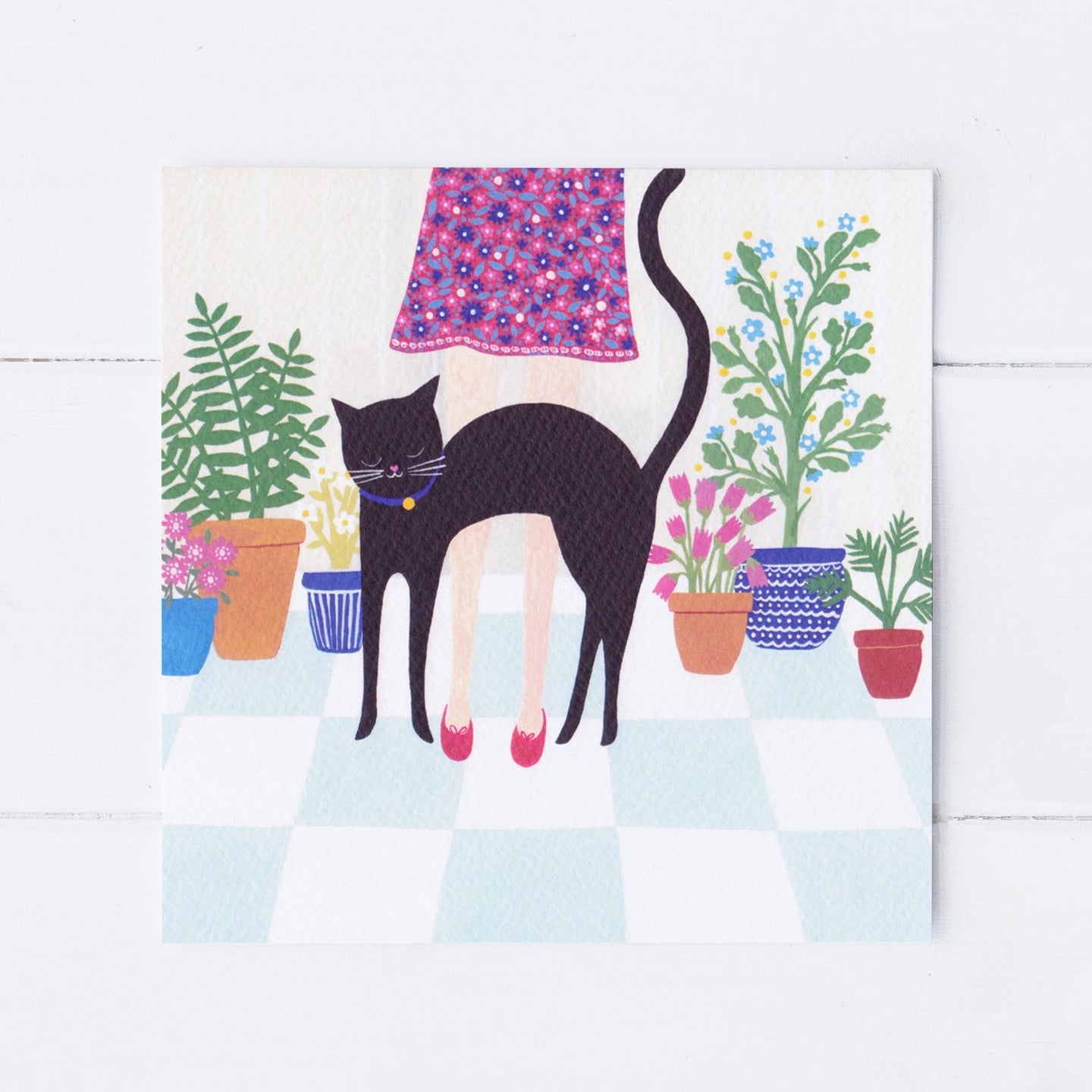 Hungry Cat Greeting Card