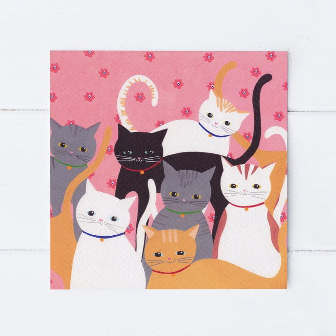 Hello Cats Greeting Card
